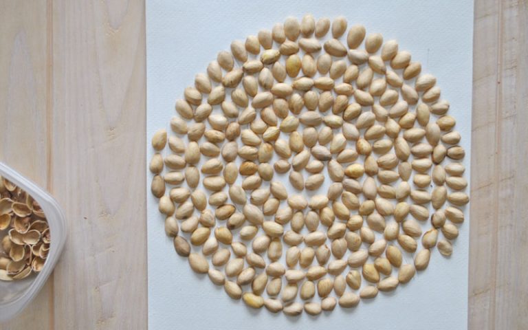 pistachio-shell-art