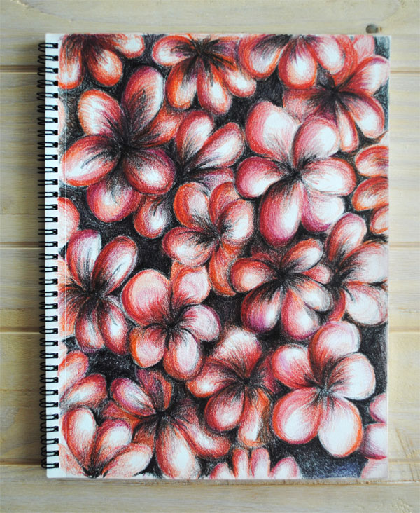 red flowers pencil abstract