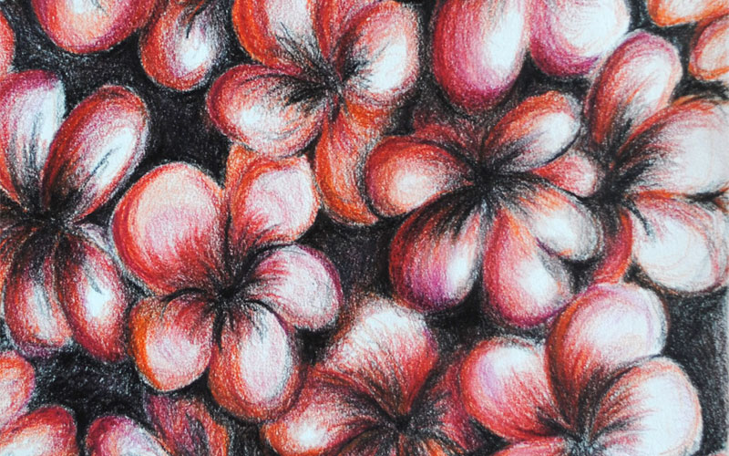 Free Images : leaf, flower, orange, pattern, red, color, flora, flowers,  fabric, design, ornate, organ, embroidery, modern art, flowering plant,  textiles, land plant, psychedelic art, fractal art, pull through, sewing  threads, needle