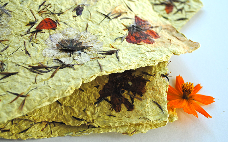 DIY Organic Seed Paper - A Simple Gardening Project